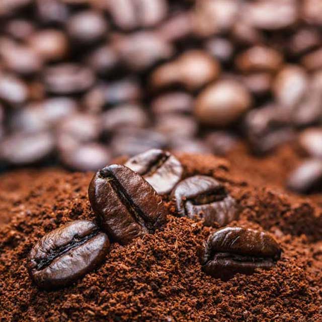 Robusta